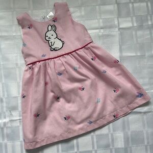Rose Lightweight Pink Fit and Flare Butterfly Print Dress with Bunny Decal